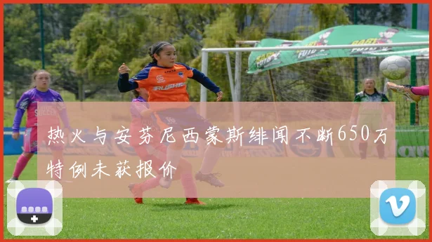 热火与安芬尼西蒙斯绯闻不断650万特例未获报价